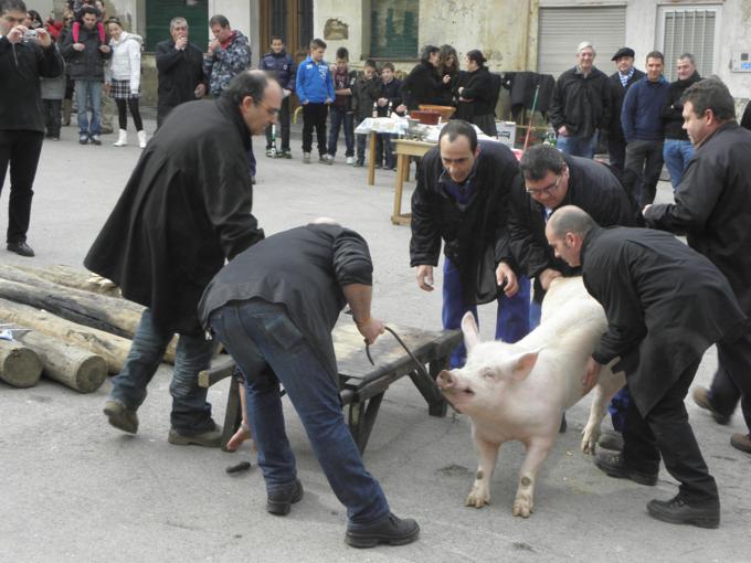 La Caldereta de San Leonardo realiza la XVII matanza del cerdo al aire libre el domingo 16